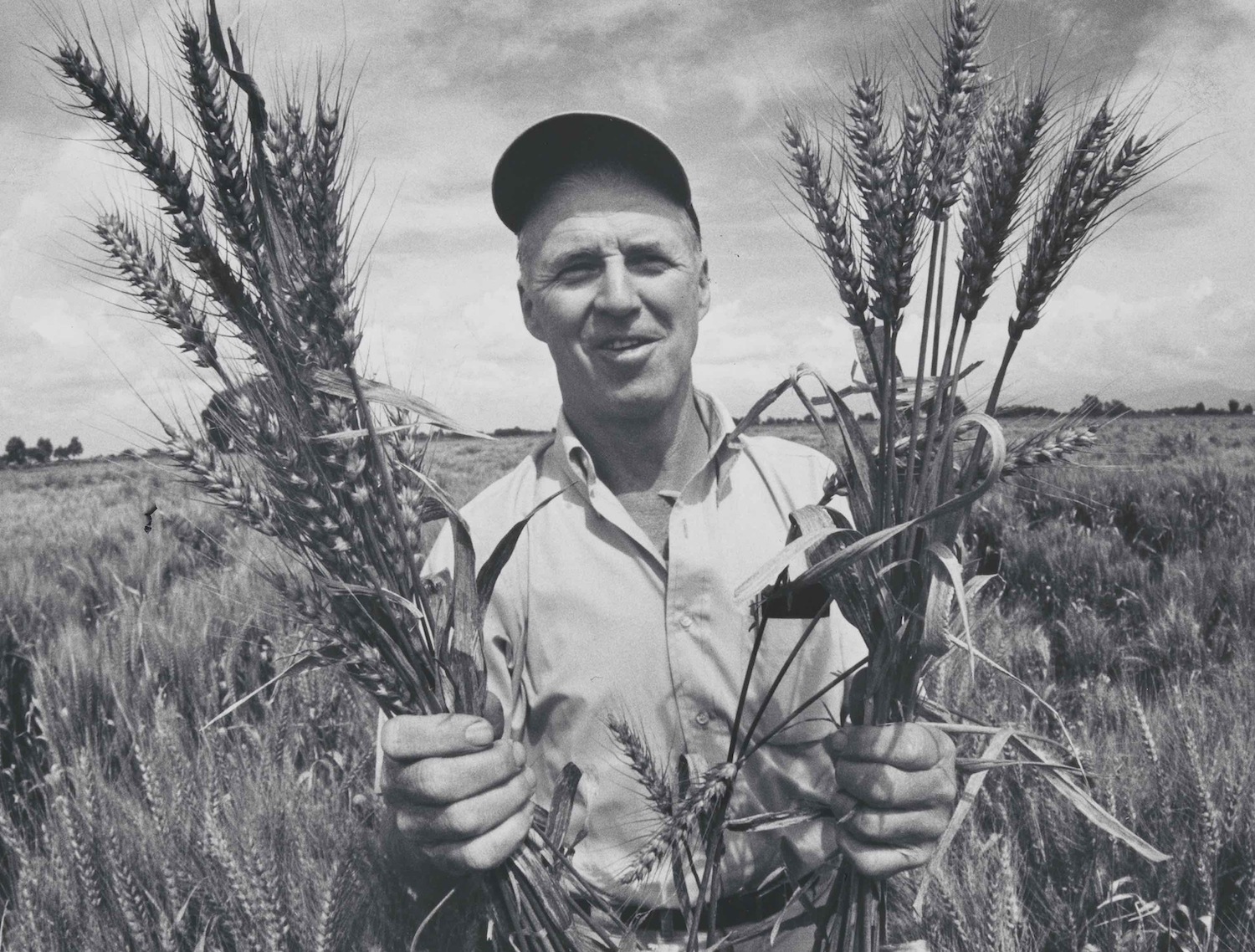 Dr. Norman Borlaug Picture